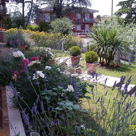 Apartament Elena *