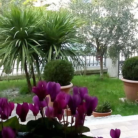 Elena Apartment